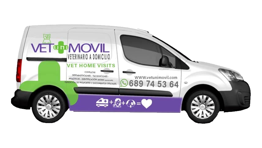 vetunimovil-furgo